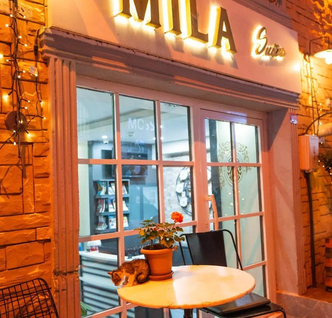Mila Suites Taksim Κωνσταντινούπολη Τουρκία